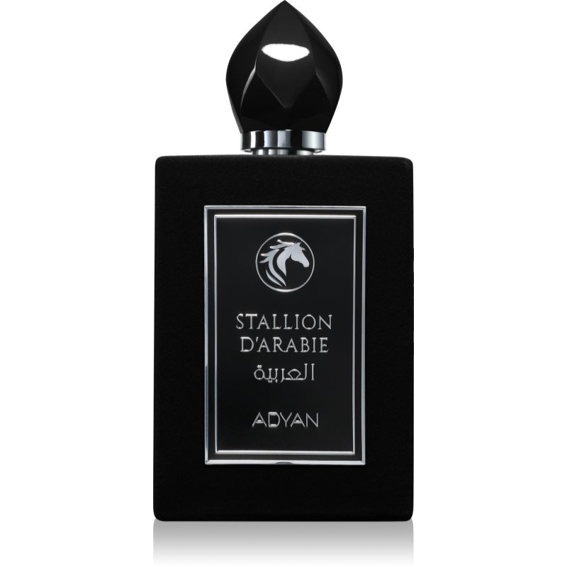 Adyan Stallion D'arabie