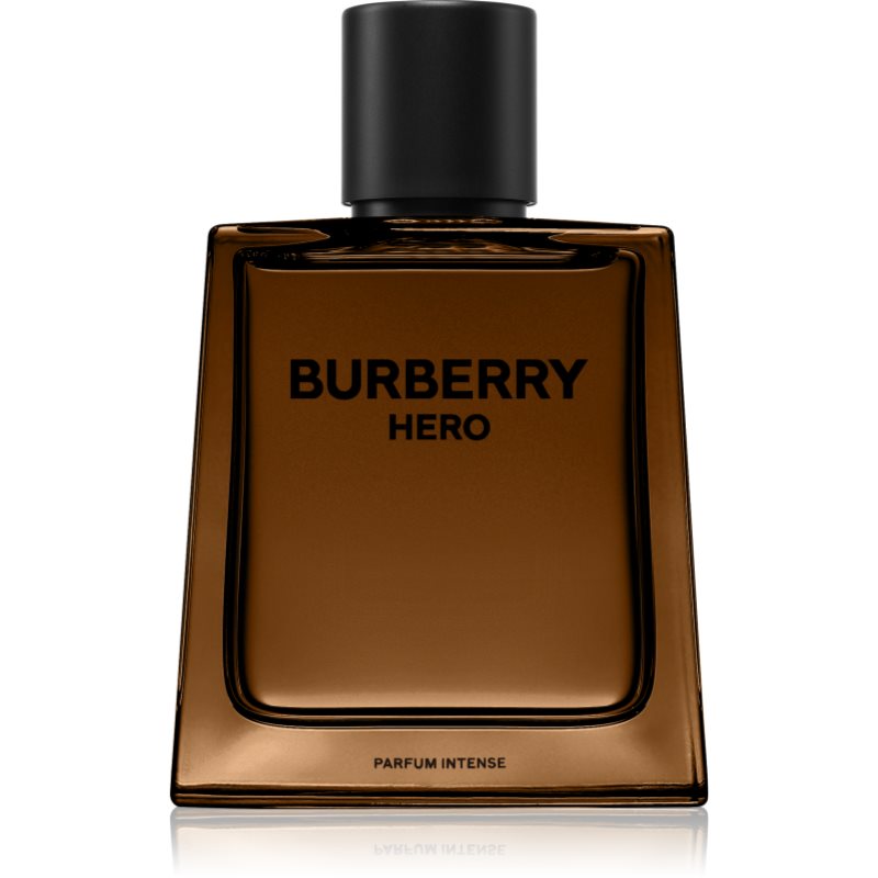 Hero Intense punjivi