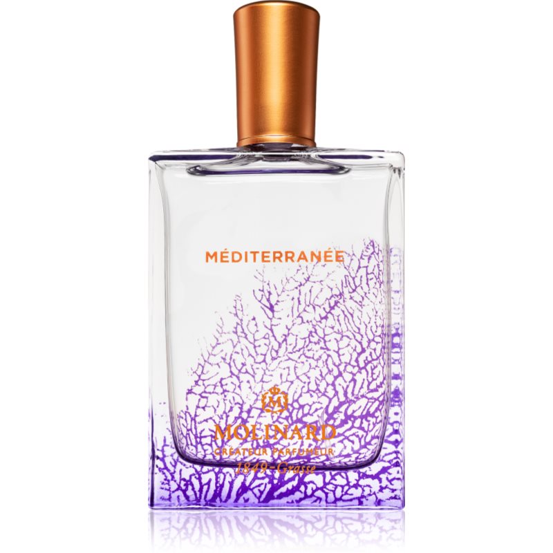 Méditerranée