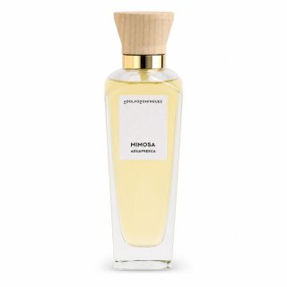 Agua Fresca de Mimosa Coriandro