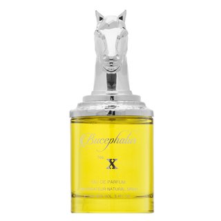 Bucephalus No. X