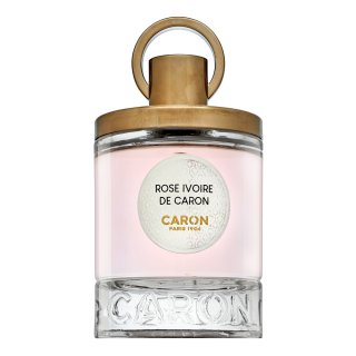 Rose Ivoire de