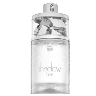 Shadow Ice