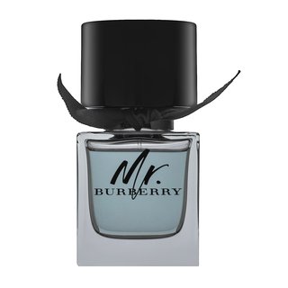 Mr. Burberry