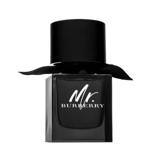 Mr. Burberry