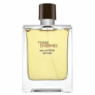 Terre d'Hermès Eau Intense Vétiver