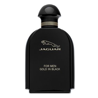 Jaguar for Men Gold in Black