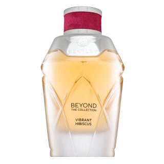 Beyond The Collection - Vibrant Hibiscus