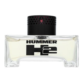 Hummer