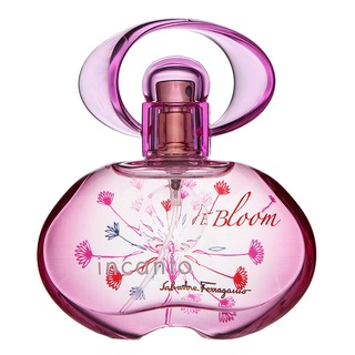Incanto Bloom